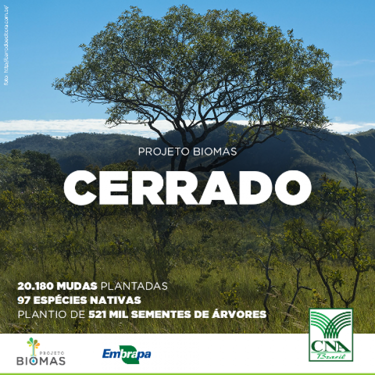 Projeto da CNA ajuda na preservação do Bioma Cerrado | Agropecuária MS ...